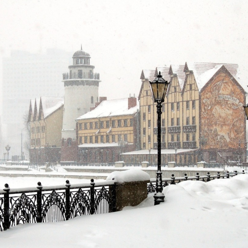 Гранд-тур по Калининграду и области с выбором экскурсий
