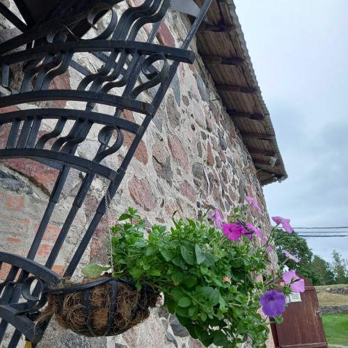 В Карелию из Петербурга индивидуально: природа, кирхи и крепости, знакомство с культурой