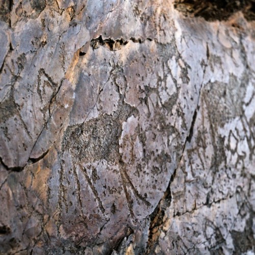 Чуйский тракт за 1 день: экскурсия-конструктор