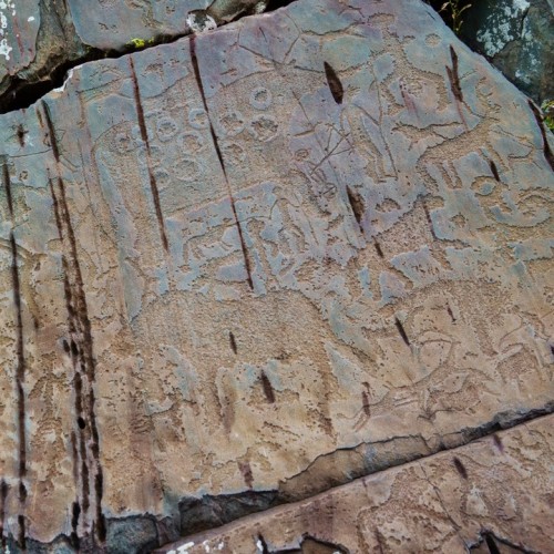 50 оттенков золота: путешествие по сентябрьскому Алтаю в мини-группе