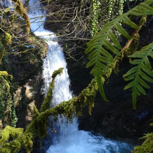 В гости к друиду: выходные в горной долине Шахе (мини-группа)