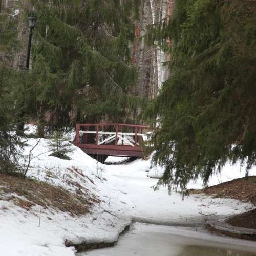 Комарово и дачный Петербург