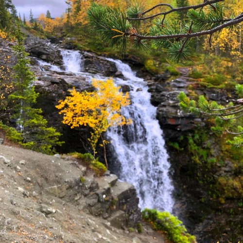 Большое приключение на Кольском в мини-группе: Териберка, корабли и красоты Арктики