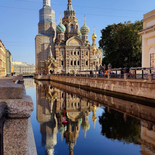 Знакомьтесь — Гулёна! Котопутешествие по Петербургу