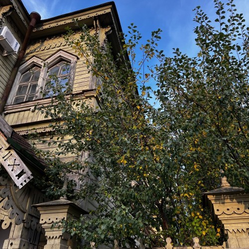 Кострома в кадре: фотопрогулка