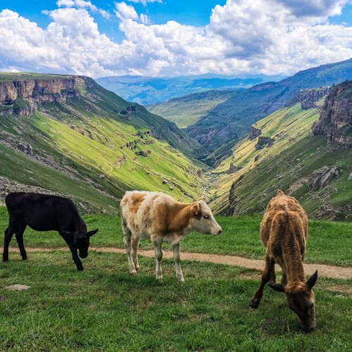 Будьте как дома: путешествие по топовым локациям Дагестана и мастер-классы от местных на выбор