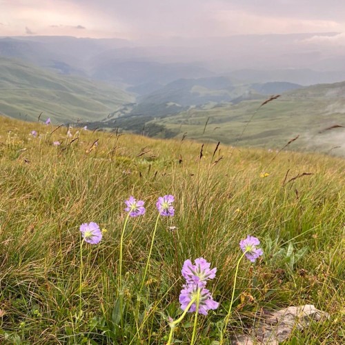 На плато Бермамыт — за инопланетными пейзажами!