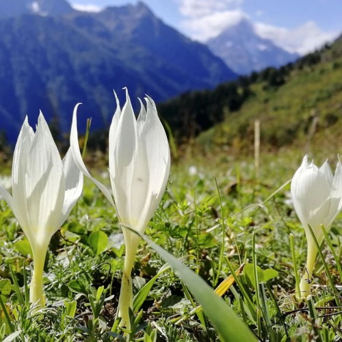 Край разноцветных озёр: треккинг налегке в Архызе с проживанием в палатках
