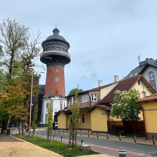 Насыщенный трип по Калининграду: дегустации, необычные маршруты, органный концерт и рыцарский турнир