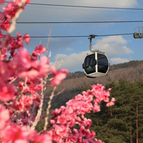 На Алтай за чудесами, энергией и видами (в сборной мини-группе)