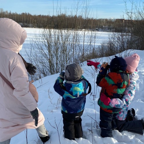 Птицы зимнего Петербурга