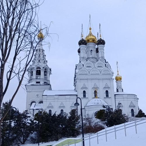 Прусские воительницы и великие полководцы 19 века