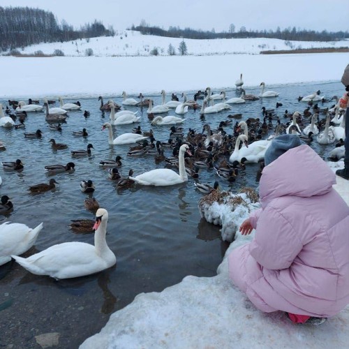 Индивидуальное путешествие в Древнюю Русь: Псков, Печоры и Изборск