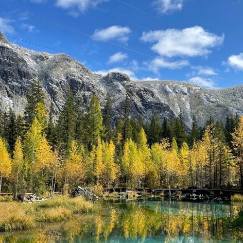 Шёлковый путь Алтая — из Горно-Алтайска