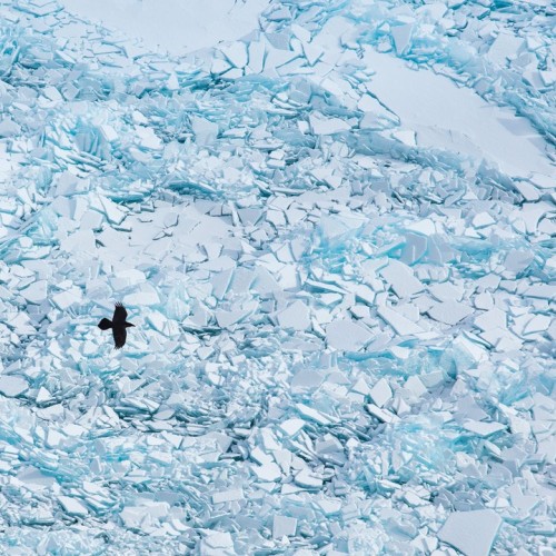 Индивидуальный джиппинг на Байкал с фотографом: ледяные пейзажи Ольхона и Огоя без экскурсий
