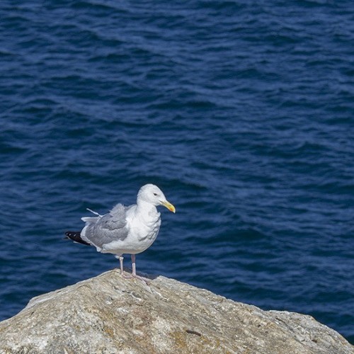Экстрим-экспедиция на лодке вокруг Ольхона и рыбалка на Байкале только для вас