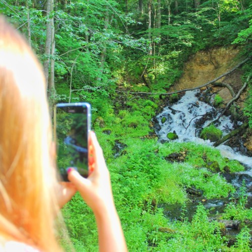 Тихвинские тропы и парк «Вепсский лес» — из Петербурга