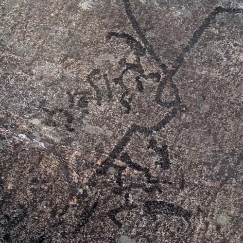 Ваше персональное путешествие вглубь веков: петроглифы, Кижи и Соловецкий монастырь