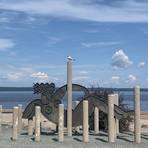 Петрозаводск — от памятника основателю до тайги