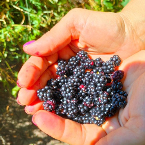 Поход с палатками и автосопровождением через горы в Геленджик