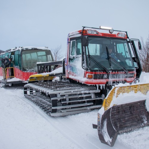 Приключения в Арктике в мини-группе: Териберка, Ловозеро, Хибины и Кировск с активностями