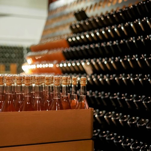 Дегустация сидра в формате казино (18+)