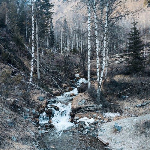 Экскурсия-трансфер по Чуйскому и Уймонскому трактам – от аэропорта до Тюнгура