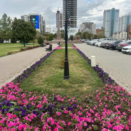 Обзорная экскурсия по Грозному