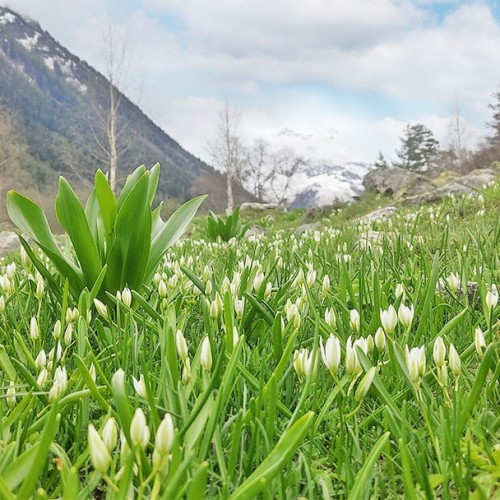 Треккинг налегке по Архызу с проживанием в гостинице
