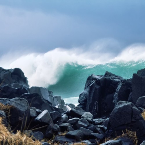 VIP-круиз с экспертами и музыкантами от Камчатки до Чукотки (всё включено)