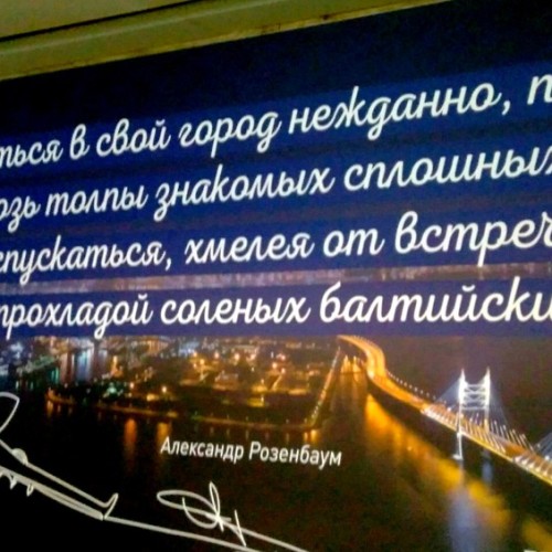 Парадный Петербург шаг за шагом