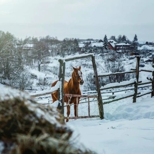 Атмосферные выходные в Туле и Ясной Поляне: гастрономия, культура, мастер-классы (мини-группа)