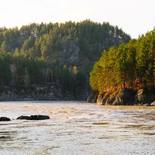 Великая долина Катуни: приключение-конструктор