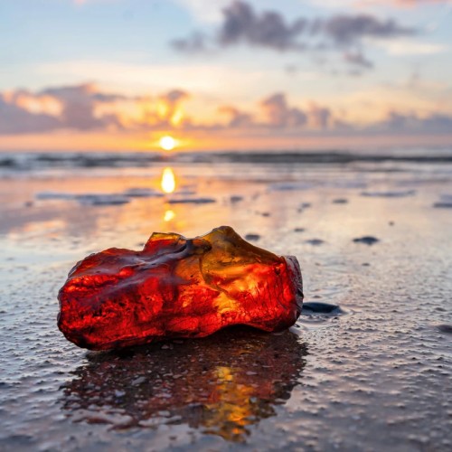 Тур в Калининград и область с ночью в замке и традиционными ужинами