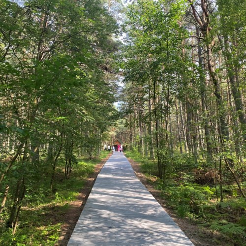 Зеленоградск, озеро Лебедь и другие природные чудеса с ночёвкой на Куршской косе (мини-группа)