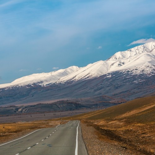 В сиреневом море цветов: весенний автотур по Чуйскому тракту