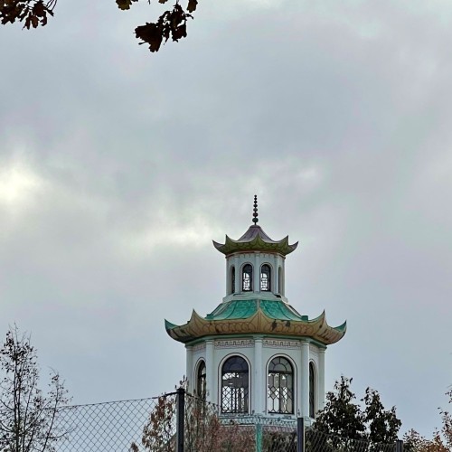 Китайский бум на берегах Невы: Петербург и Царское Село