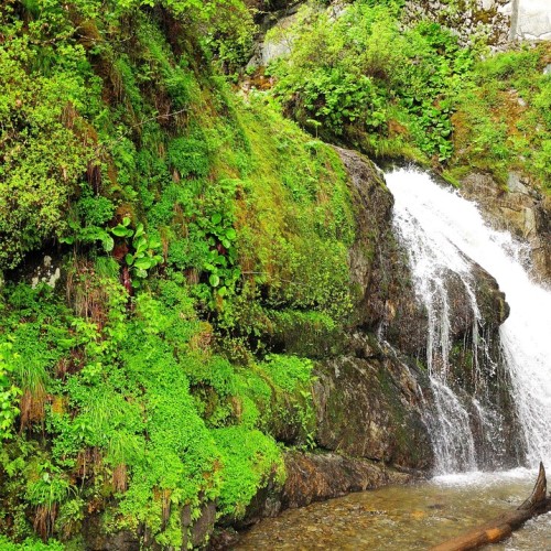 Активно и без палаток на Алтае: моторафтинг, треккинг и вечера под звёздами