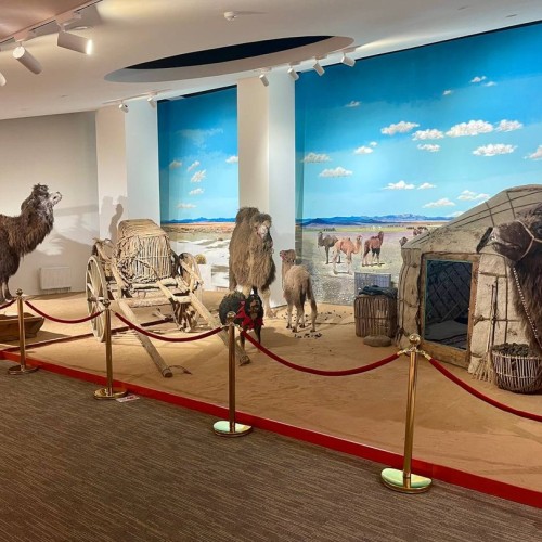 От пустыни до оазисов: большое путешествие по Монголии и Улан-Удэ