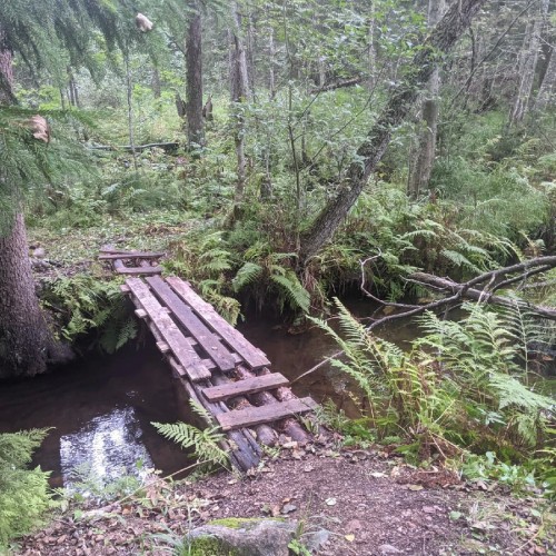 По тропам линии Маннергейма: подземные бункеры в карельских лесах