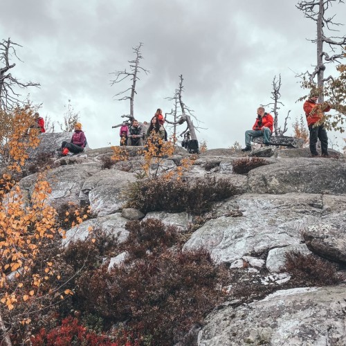 Детокс в Карелии: место силы, дары леса и походная романтика (всё включено)