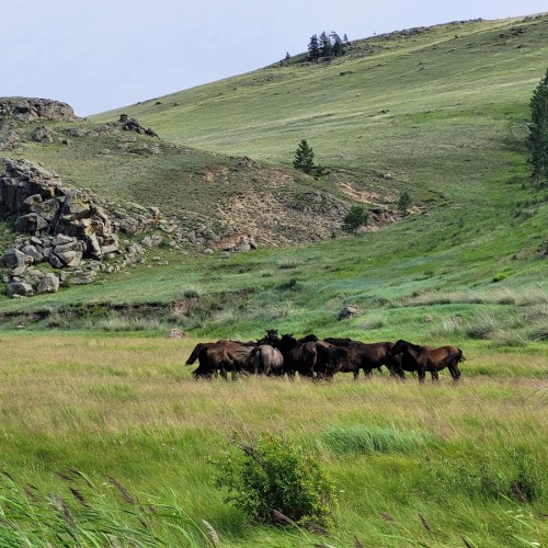 Тур «всё включено» на Байкал и в Бурятию: прогулка на катере, национальная кухня, буддийские святыни