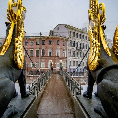 Фантастические твари и где они обитают в Санкт-Петербурге