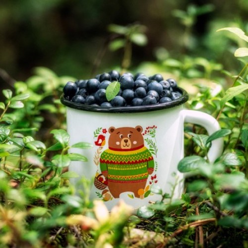 Байкальское гостеприимство: индивидуальный гастротур (всё включено)