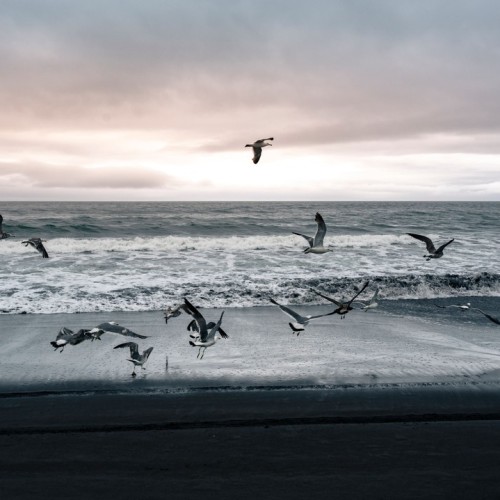 Путешествие от Сахалина до Итурупа: вулканы, горячие источники и океанские просторы