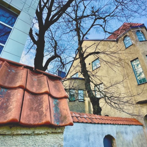 Сортавала и парк Ваккосалми: авторская экскурсия