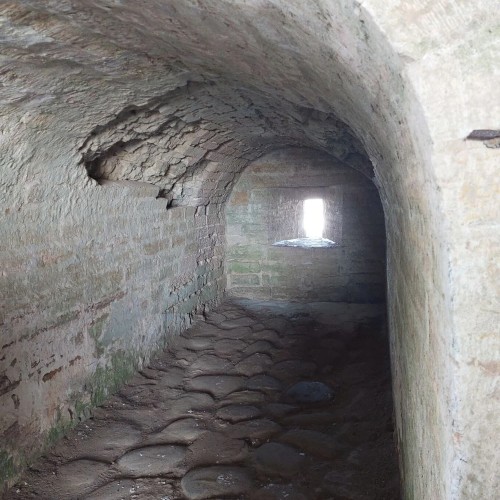 Из Санкт-Петербурга — к истокам Руси: Старая Ладога и Новая Ладога