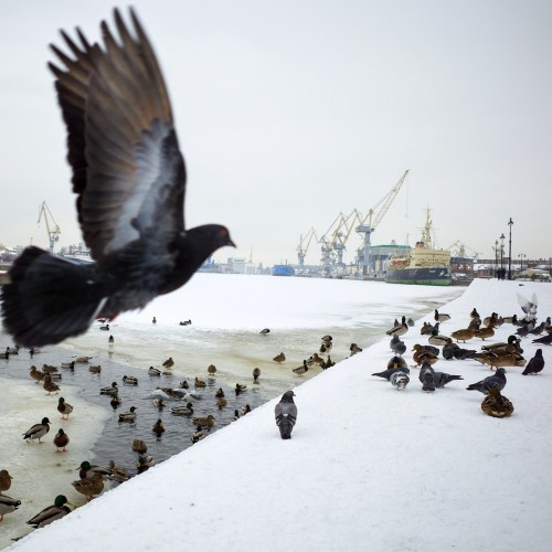 Васильевский остров: было/стало