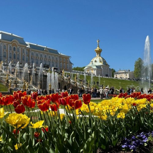 Парк и фонтаны Петергофа (всё включено)