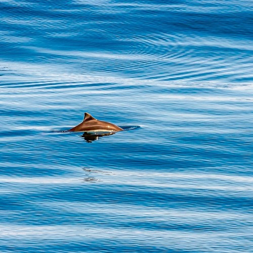 Гранд-тур по островам Дальнего Востока: Сахалин, Итуруп, Кунашир и Шикотан, термы и гастрономия